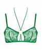 Brassière COLLECTION AUBADE LOSING MY MIND GREEN ISLAND